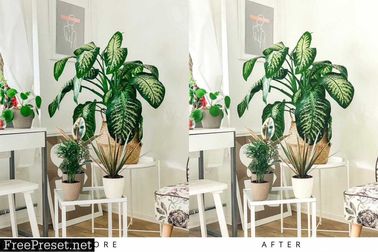 10 Light Botanical Lightroom Presets 5351307