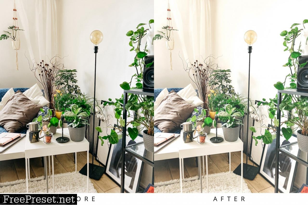 10 Light Botanical Lightroom Presets 5351307