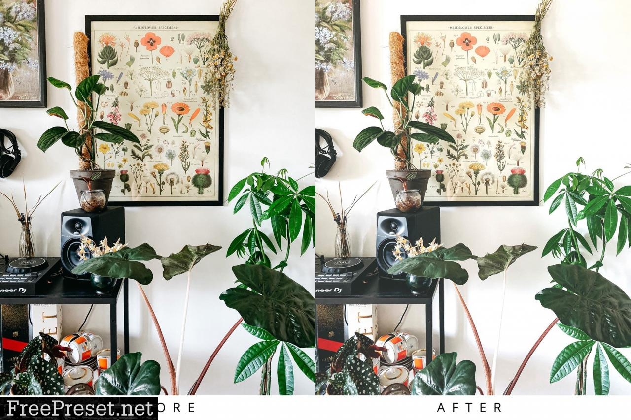 10 Light Botanical Lightroom Presets 5351307