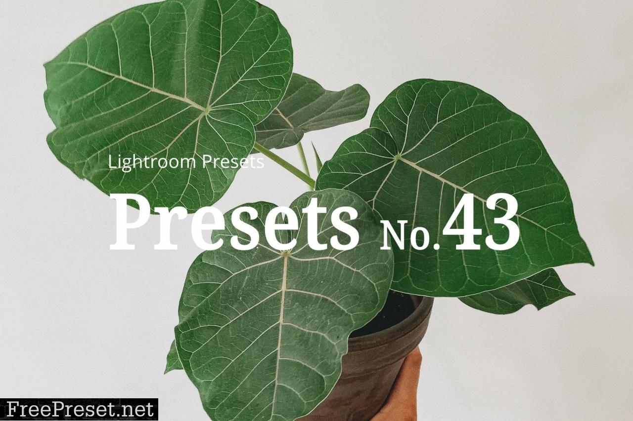 10 Light Botanical Lightroom Presets 5351307