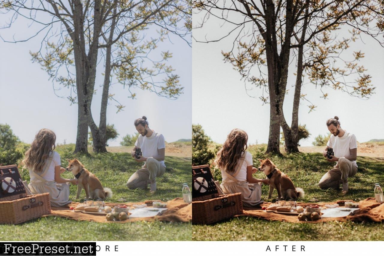 10 Moody Blogger Lightroom Presets 5361413