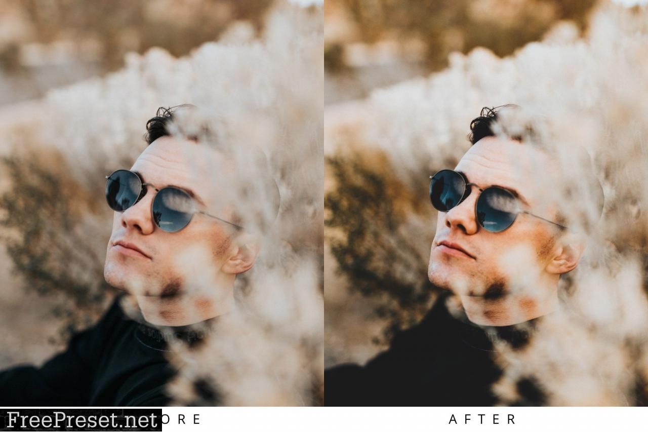 10 Rich Mood Lightroom Presets 5352802