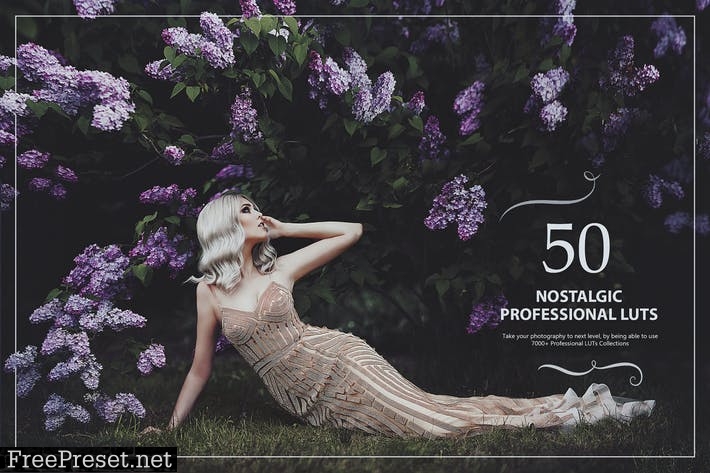 50 Nostalgic LUTs (Look Up Tables)