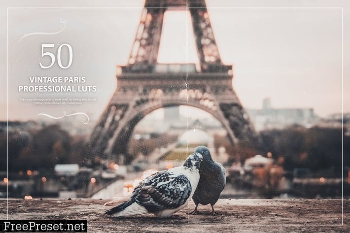 50 Vintage Paris LUTs (Look Up Tables)