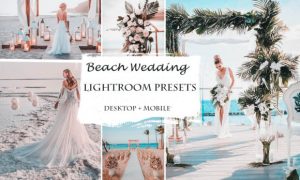 Beach Wedding Lightroom Presets