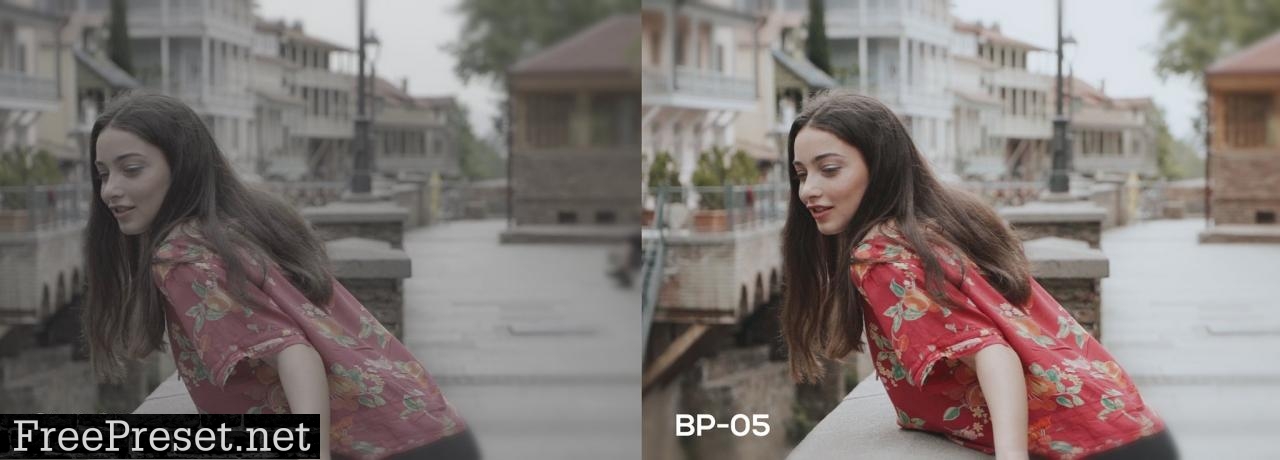 Cinematic Luts (Slog2 & Slog3) 4963148