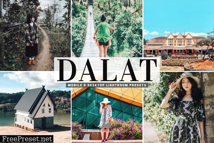 Dalat Mobile & Desktop Lightroom Presets