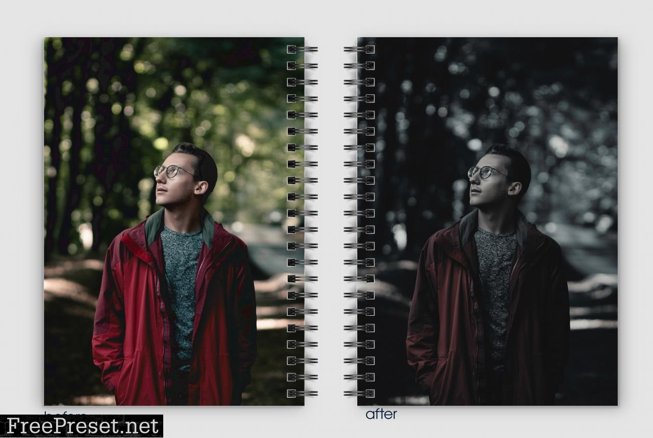 Dark Tones Lightroom Presets 5244179