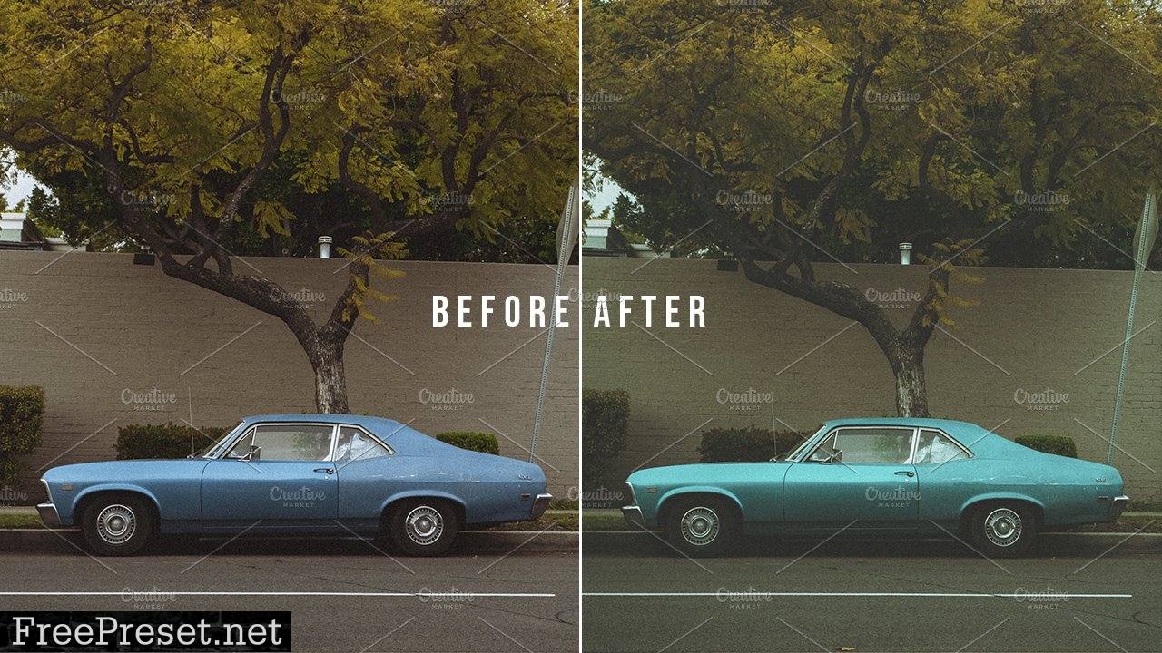 Film Look Lightroom Presets 4950033