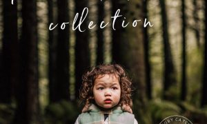 Forest & Field Preset Collection - Desktop & Mobile