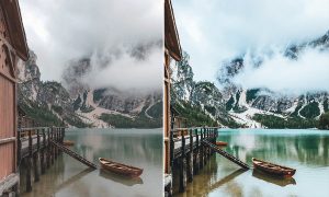 Forest Moody-Travel Presets for Mobile and Desktop