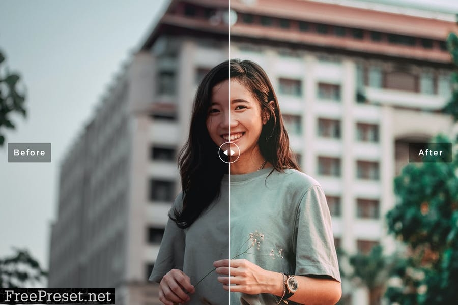 George Town Mobile & Desktop Lightroom Presets