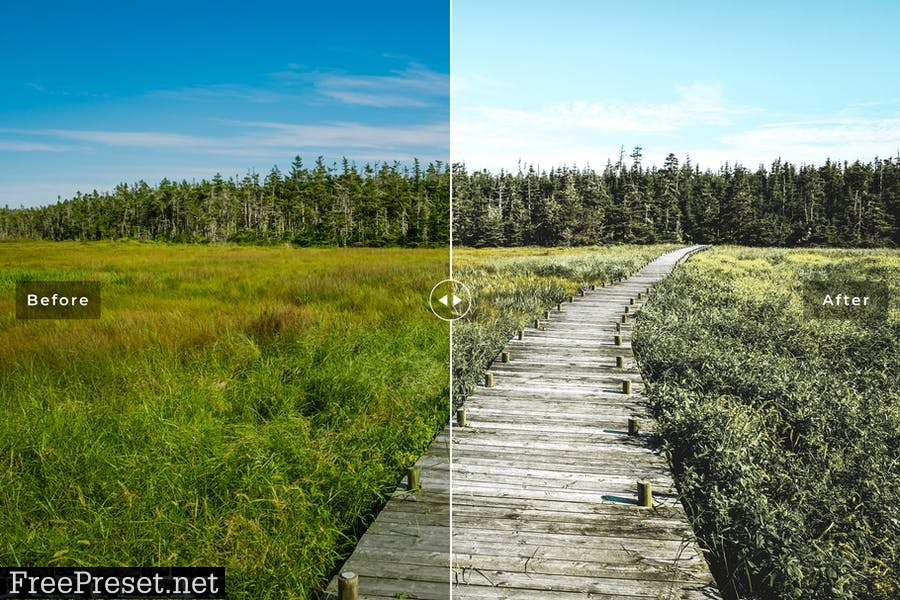 Green Bay Mobile & Desktop Lightroom Presets