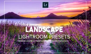 Landscape Lightroom Presets