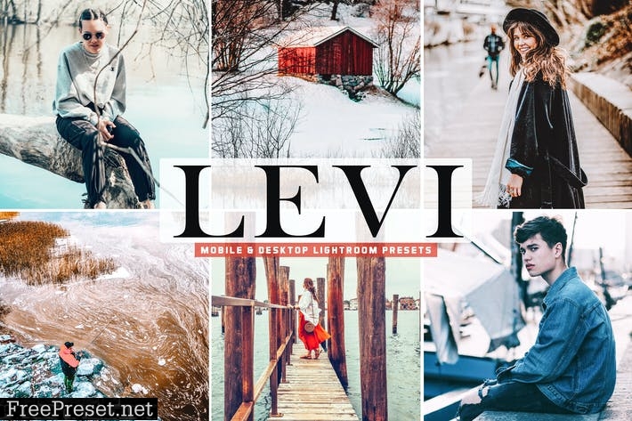 Levi Mobile & Desktop Lightroom Presets