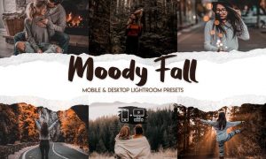 Moody Fall Lightroom Presets