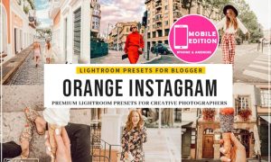 Orange Instagram Blogger Presets