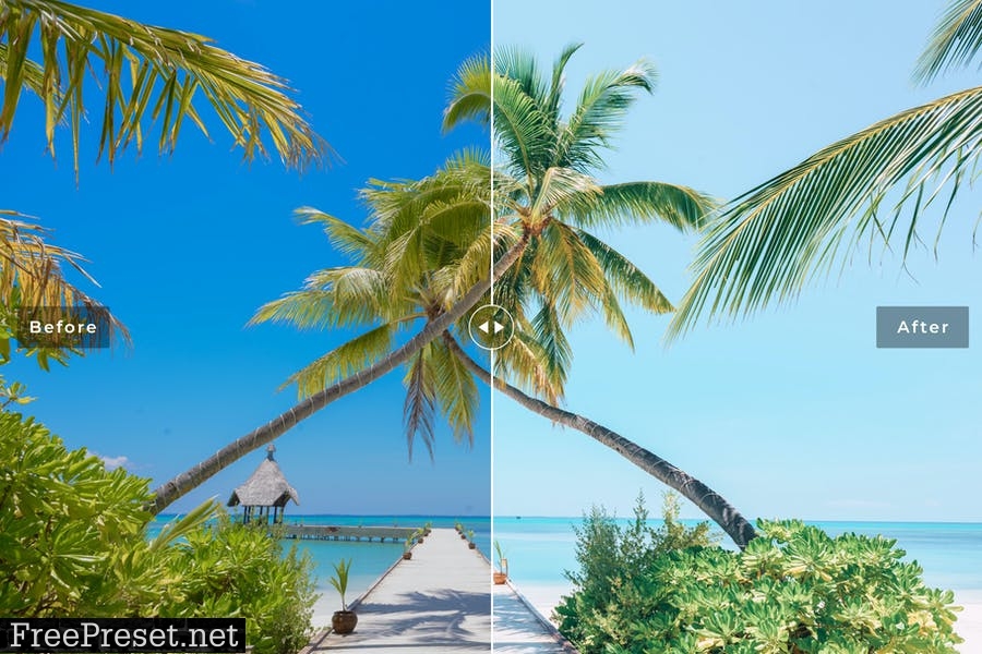 Palm Beach Mobile & Desktop Lightroom Presets