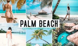 Palm Beach Mobile & Desktop Lightroom Presets