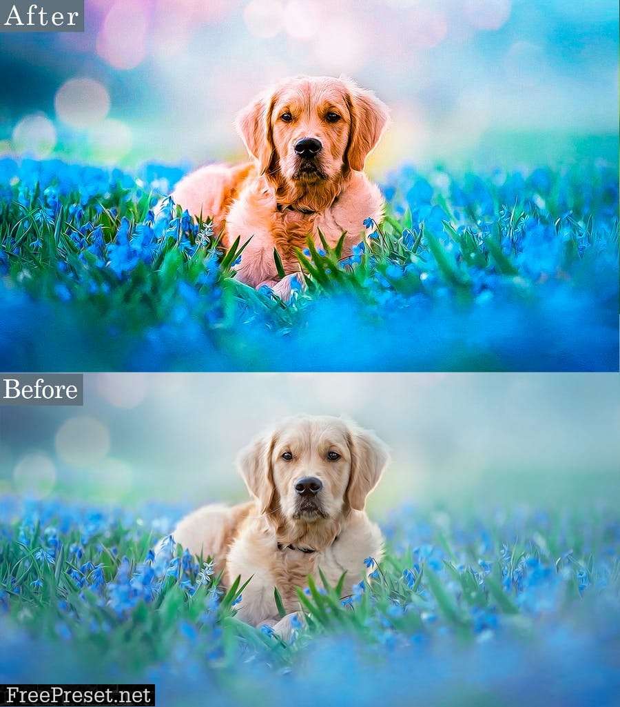 PRO HDR Animal Lightroom Presets