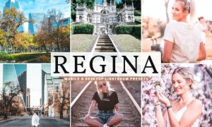 Regina Mobile & Desktop Lightroom Presets