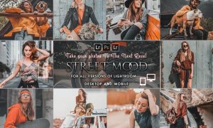 Street Mood Presets Desktop & Mobile