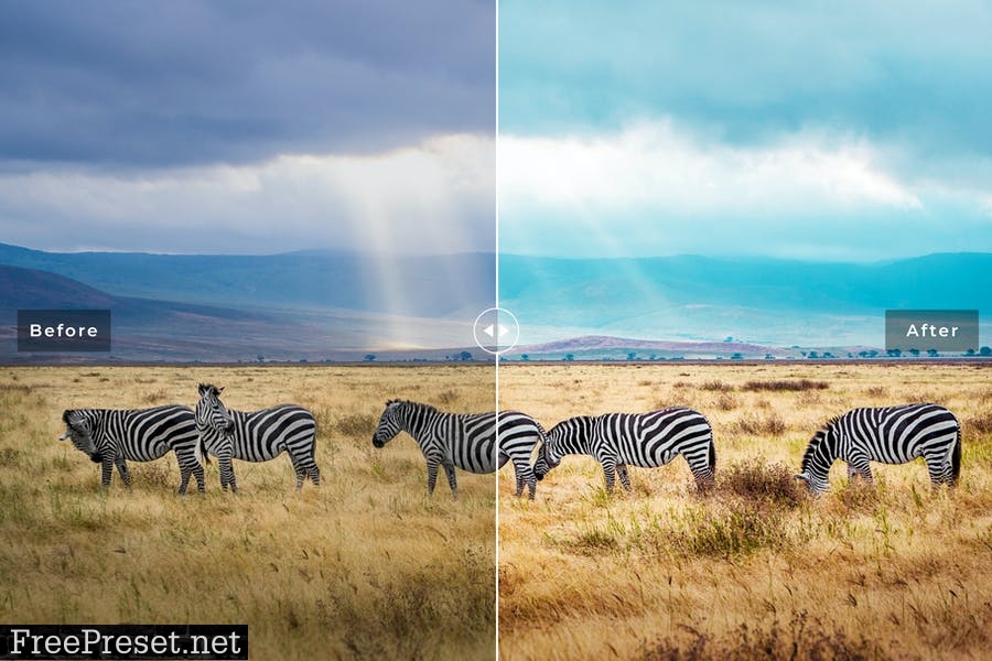 Tanzania Mobile & Desktop Lightroom Presets