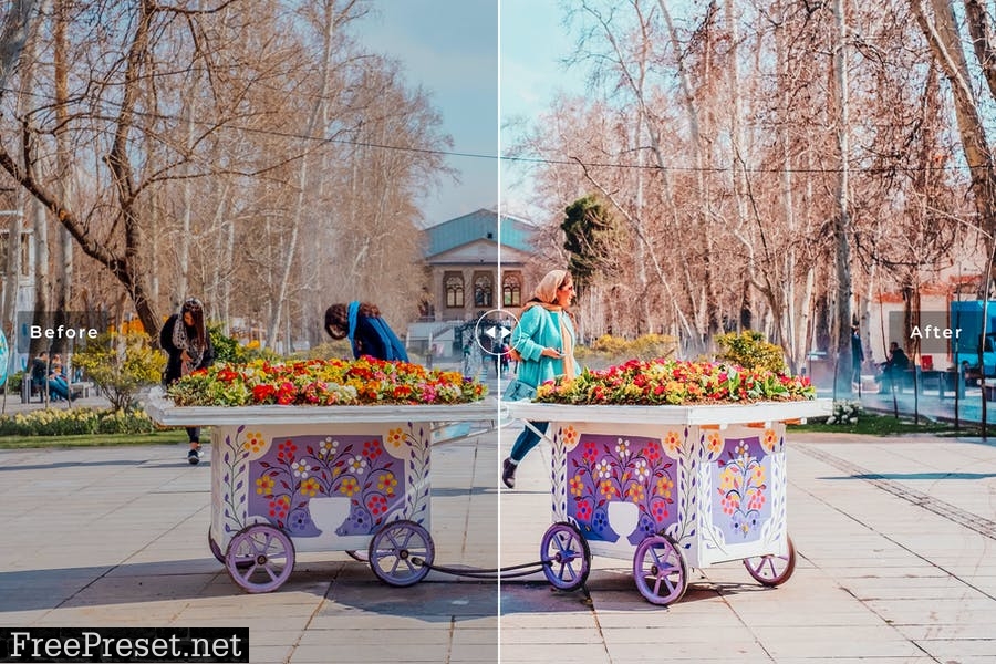 Tehran Mobile & Desktop Lightroom Presets