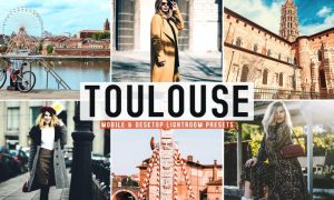 Toulouse Mobile & Desktop Lightroom Presets
