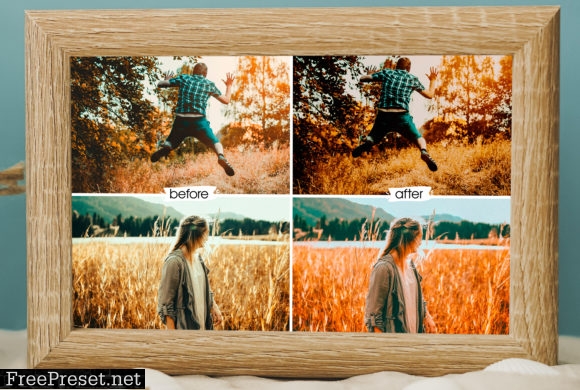 Warm and Bright Lightroom Presets 5528298