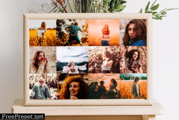 Warm and Bright Lightroom Presets 5528298