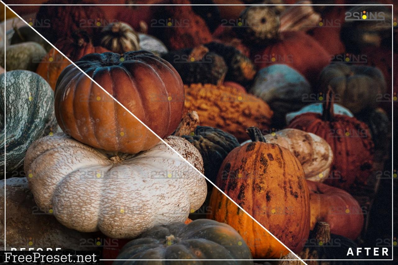 10 Halloween presets & Horror Lightroom presets