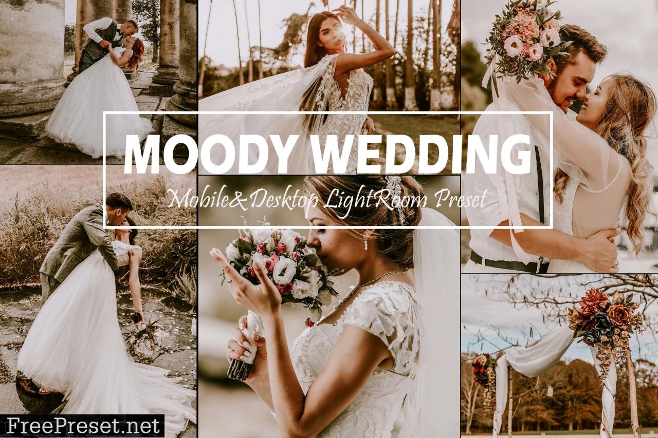 10 Moody Wedding Mobile & Desktop Lightroom Presets, Fall LR