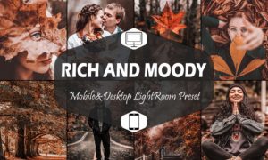 10 Rich and Moody Lightroom Presets 5916286