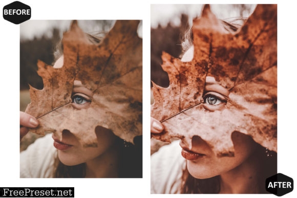 10 Rich and Moody Lightroom Presets 5916286