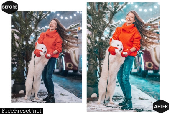 10 Xmas 2021 Photoshop Action ACR Preset 5938587