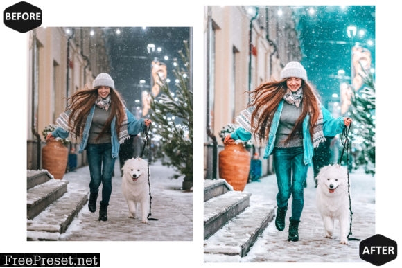 10 Xmas 2021 Photoshop Action ACR Preset 5938587