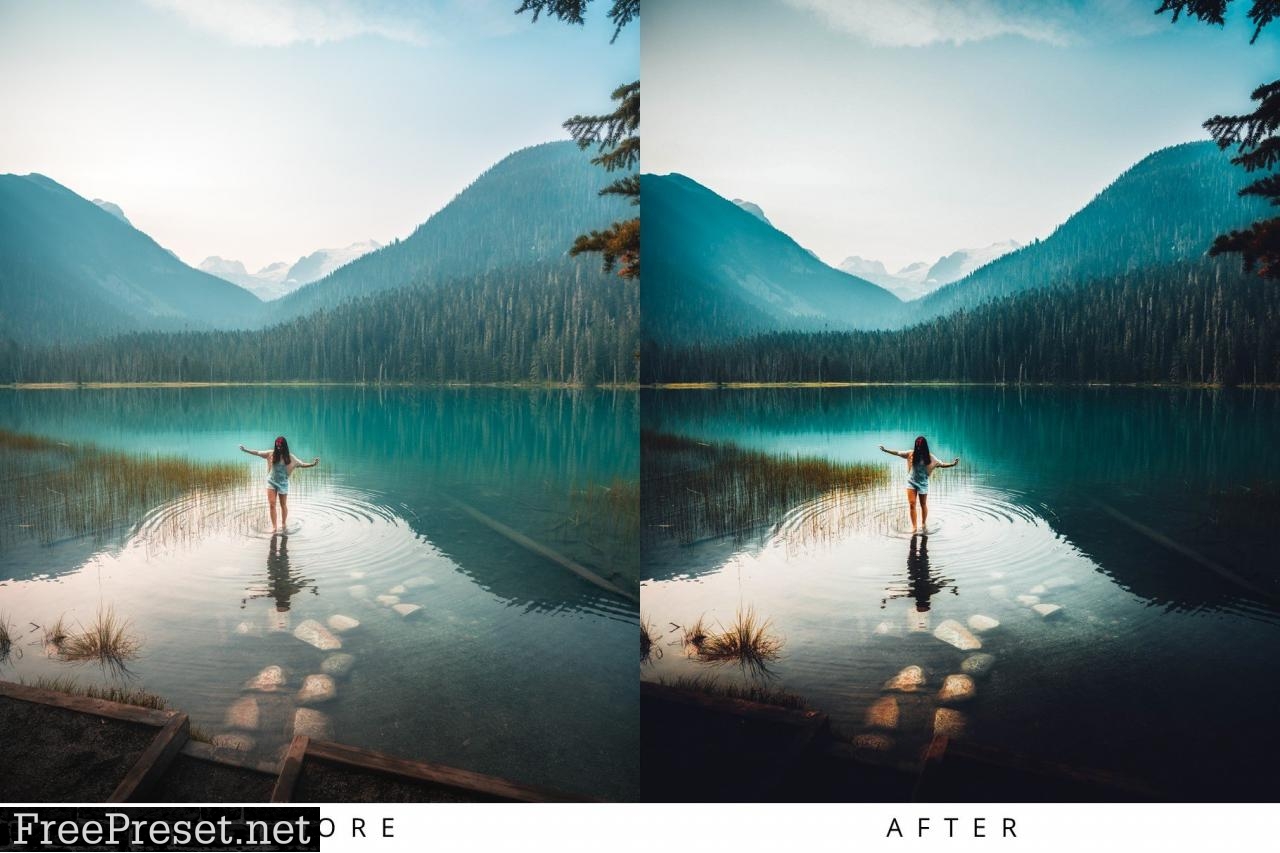 100+ Lightroom Presets Bundle 5363529