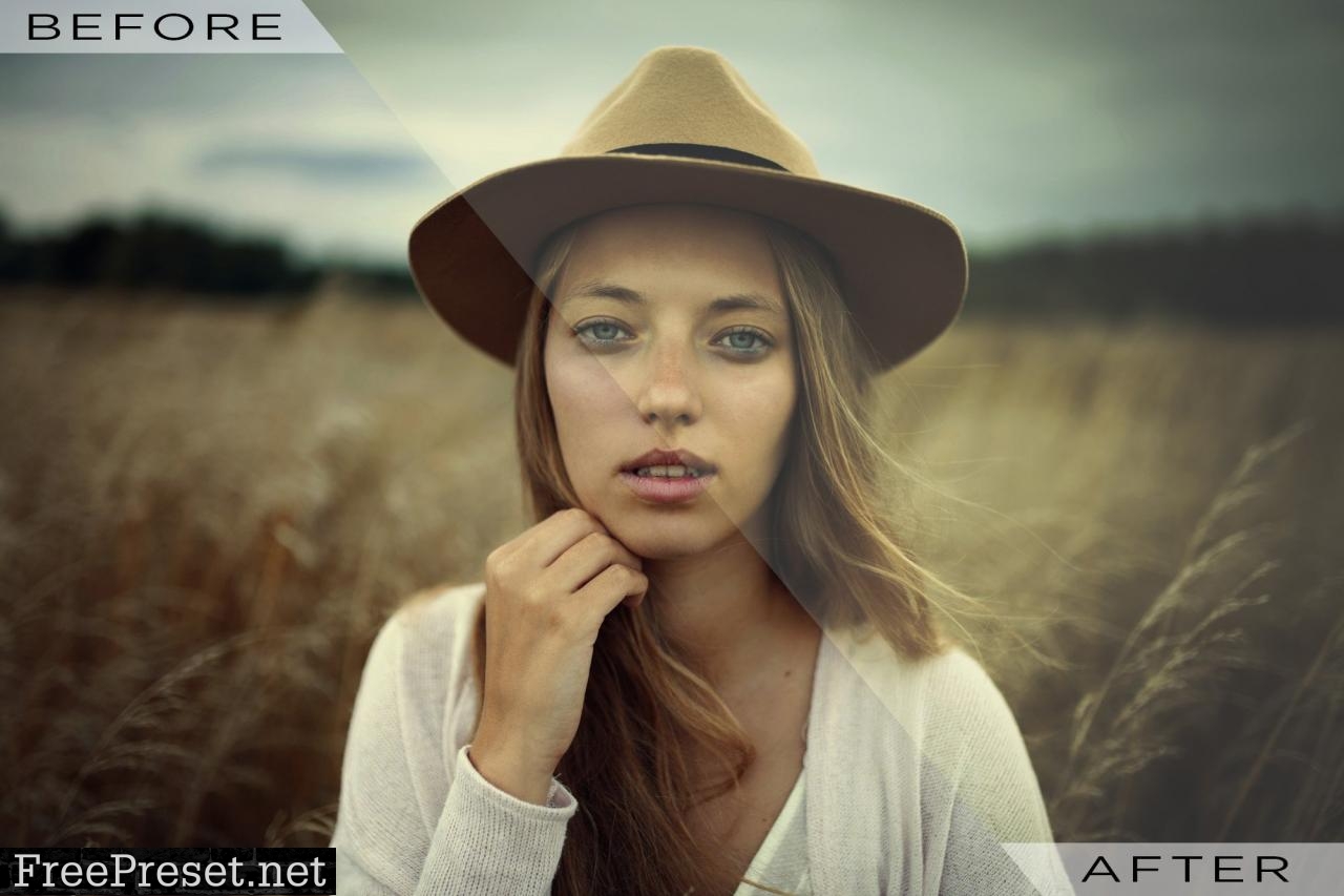 110 Premium Lightroom Preset Bundle 5096101