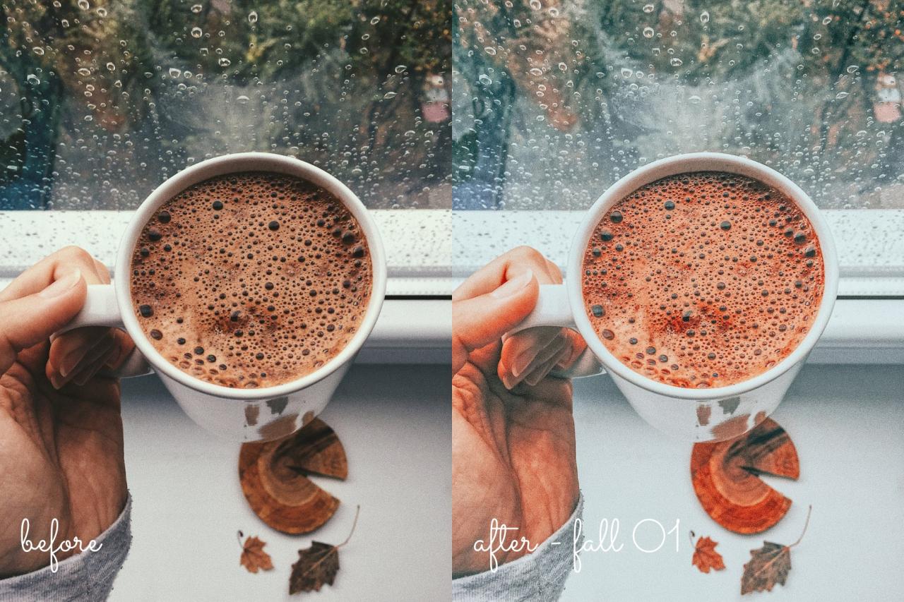 15 Fall / Autumn Lightroom Presets 5499857