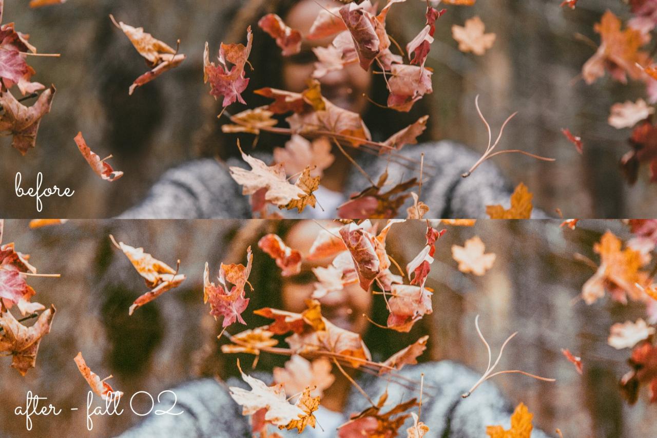 15 Fall / Autumn Lightroom Presets 5499857