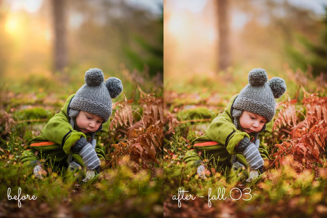 15 Fall / Autumn Lightroom Presets 5499857