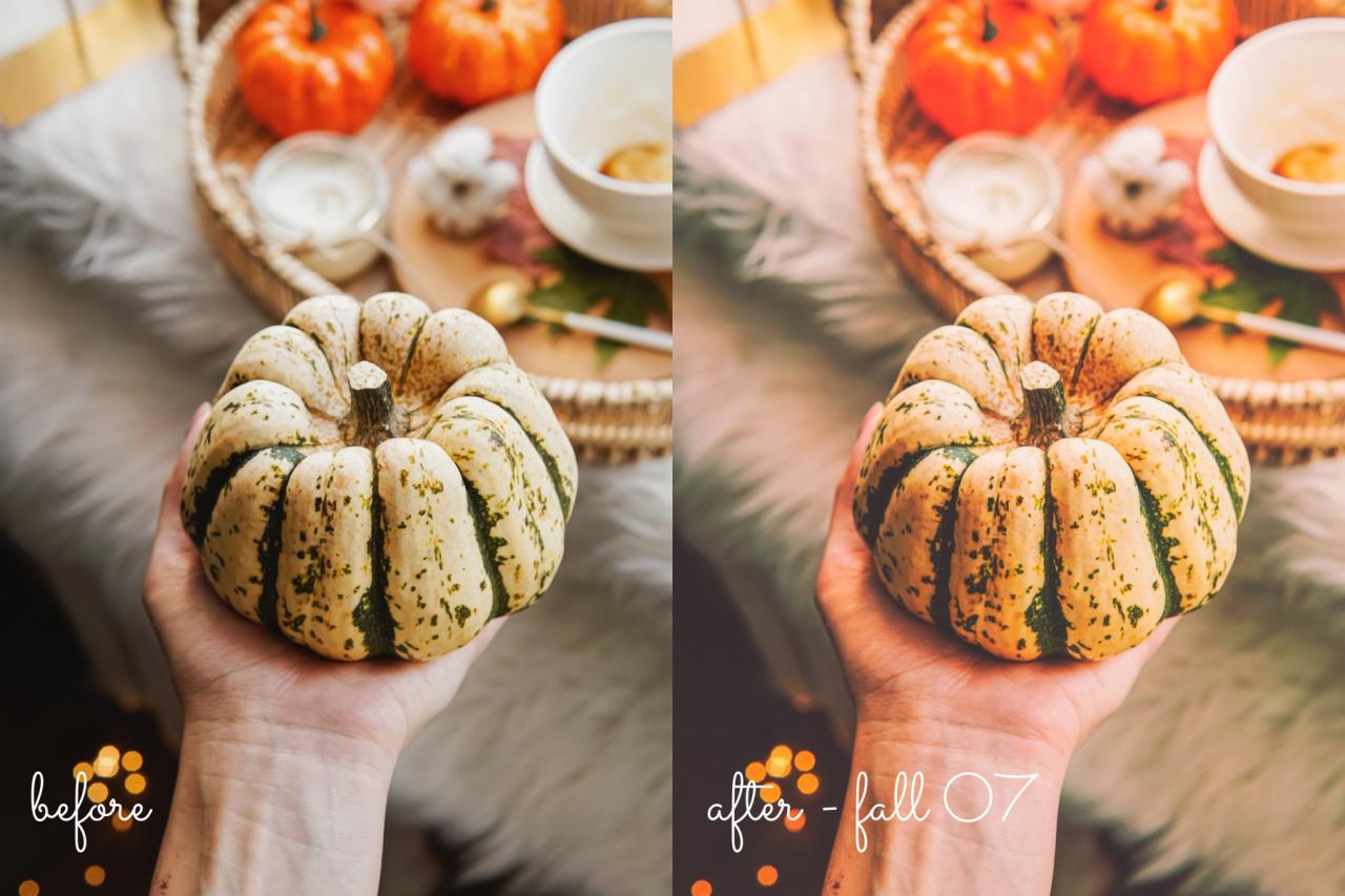 15 Fall / Autumn Lightroom Presets 5499857