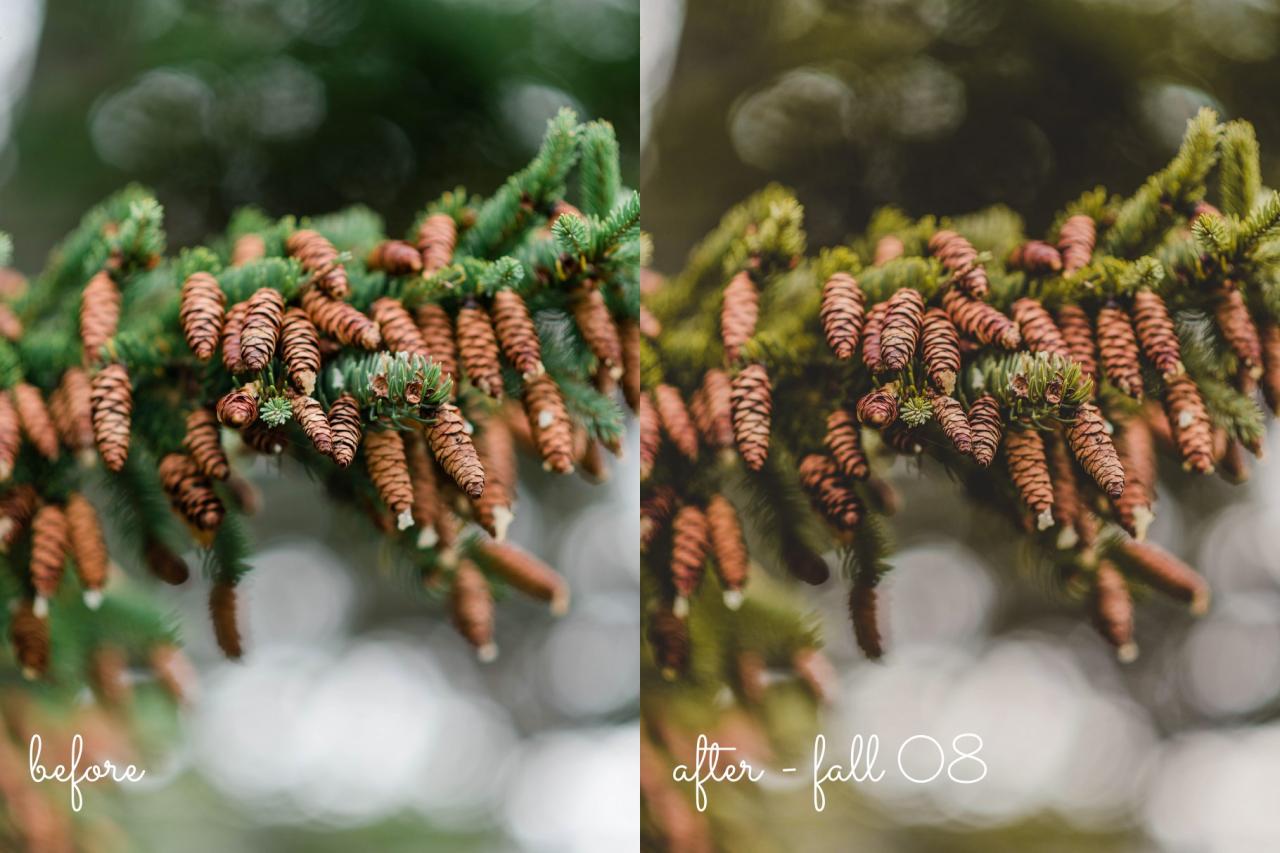 15 Fall / Autumn Lightroom Presets 5499857