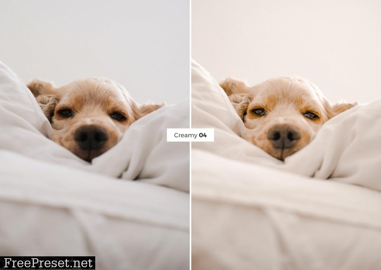 4 Lightroom Presets CREAMY 4887558