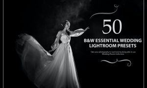50 B&W Essential Wedding Lightroom Presets