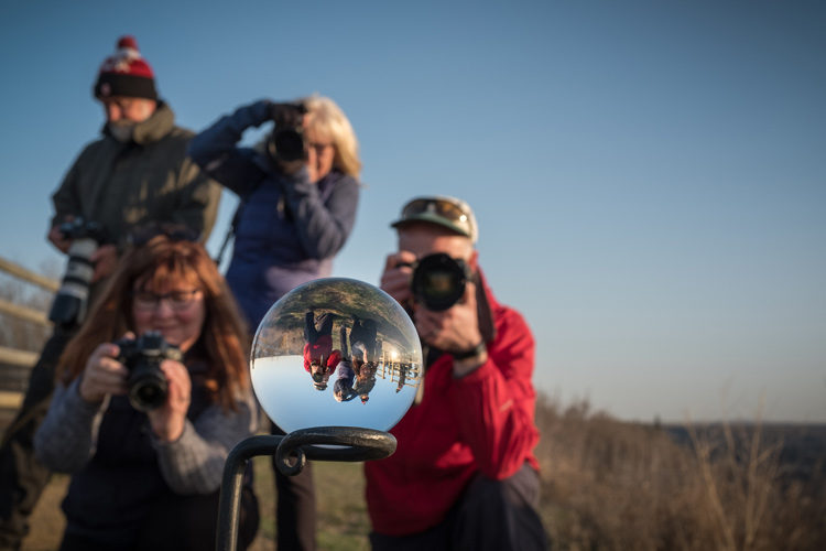 lensball image