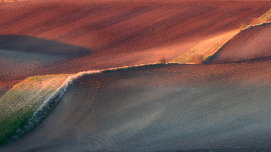 Moravian fields at sunset by Pawe? Ga?ka on 500px.com