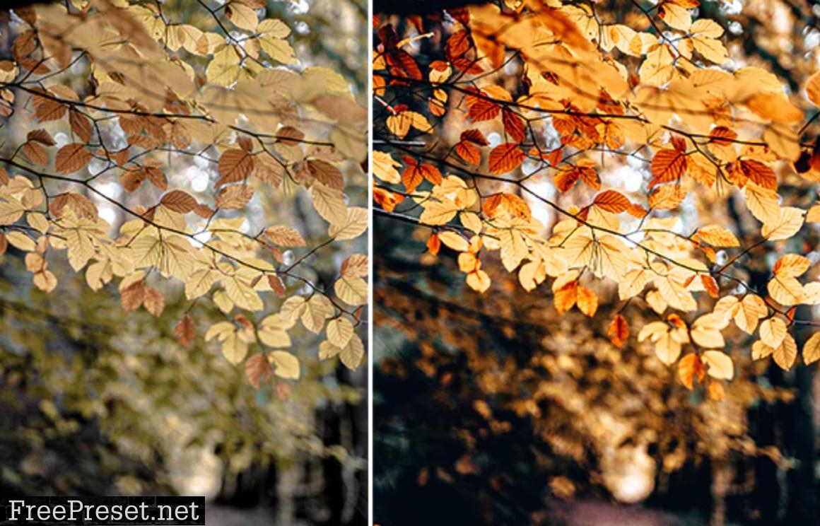 ARTA Fall Pack For Mobile and Desktop Lightroom 28906487