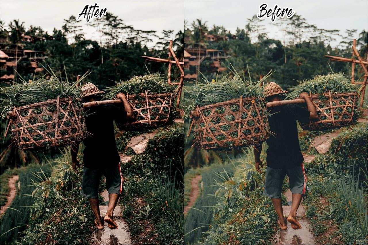 Bali Lightroom Presets 5337033